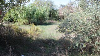 Land for sale in Tomar, Portugal — €19,500
