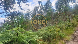Land for sale in Vila Nova de Famalicão, Portugal — €27,400