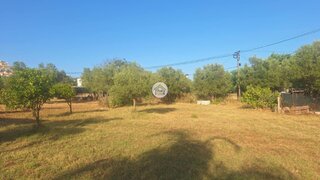 Land for sale in São Brás de Alportel, Portugal — €285,000