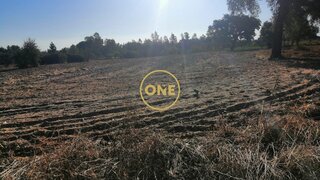 Land for sale in Salvaterra de Magos, Portugal — €51,150