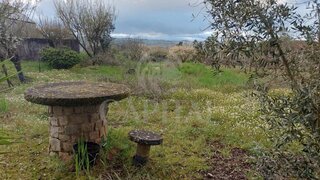 Land for sale in Tábua, Portugal — €35,000