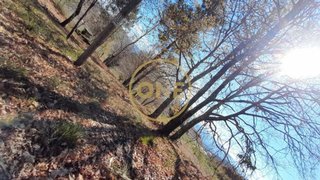 Land for sale in Celorico de Basto, Portugal — €97,000