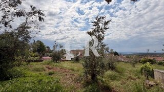 Land for sale in Figueiró dos Vinhos, Portugal — €99,900