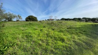 Land for sale in Tomar, Portugal — €37,500