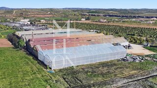 Terreno de 22 720 m² em Lagoa