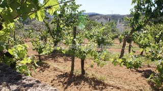 Terreno em Castelo Branco · 2400 m² · 25 000 €