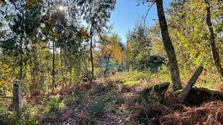 Land for sale in Fafe, Portugal — €45,000