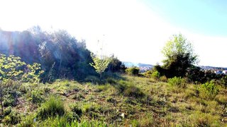 Land for sale in Coimbra, Portugal — €35,000