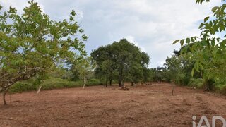Land for sale in Ferreira do Zêzere, Portugal — €3,700