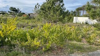 Land for sale in Alcobaça, Portugal — €68,000