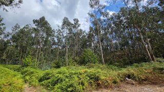 Land for sale in Vieira do Minho, Portugal — €29,240
