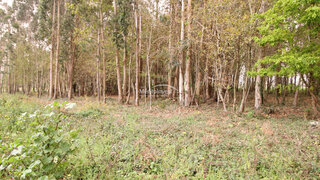 Land for sale in Vila do Conde, Portugal — €380,000