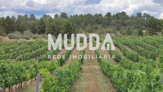 Land for sale in Mirandela, Portugal — €55,000