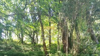 Terreno · 228 m² · 6000 €