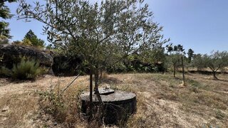 Land for sale in Sernancelhe, Portugal — €66,000