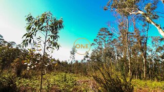 Land for sale in Câmara de Lobos, Portugal — €250,000
