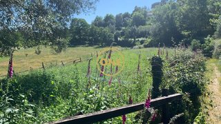 Land for sale in Vieira do Minho, Portugal — €20,000