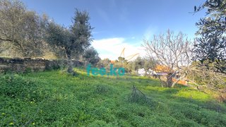 Terreno de 740 m² em Castelo Branco
