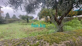 Terreno de 480 m² em Castelo Branco