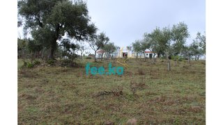 Terreno de 10 000 m² em Castelo Branco