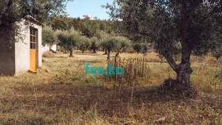 Terreno de 5120 m² em Castelo Branco