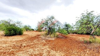 Land for sale in Loulé, Portugal — €1,300,000