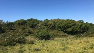 Land for sale in Grândola, Portugal — €950,000