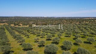 Land for sale in Avis, Portugal — €1,180,000