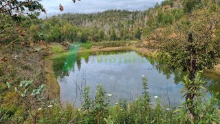 Land for sale in Silves, Portugal — €500,000