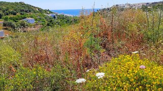 Land for sale in Vila do Bispo, Portugal — €1,600,000
