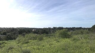 Land for sale in Silves, Portugal — €1,350,000