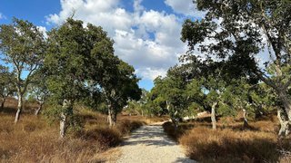 Land for sale in Grândola, Portugal — €600,000