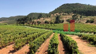 Land for sale in Azambuja, Portugal — €700,000