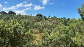 Terreno para venda em Grândola, Portugal — 800 000 €