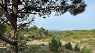Land for sale in Sesimbra, Portugal — €750,000