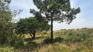 Land for sale in Sesimbra, Portugal — €3,500,000