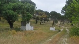 Land for sale in Ponte de Sor, Portugal — €13,500,000
