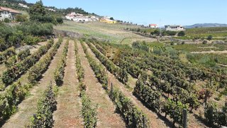 Land for sale in Peso da Régua, Portugal — €650,000