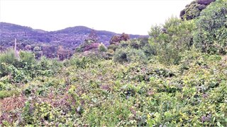 Terreno para venda em Cascais, Portugal — 1 400 000 €