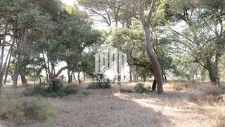 Land for sale in Sesimbra, Portugal — €530,000