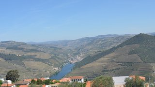 Land for sale in Alijó, Portugal — €520,000