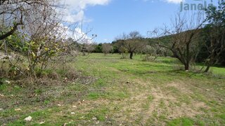 Terreno de 43 040 m² em Faro
