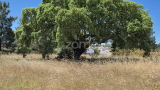 Land for sale in Seixal, Portugal — €2,500,000