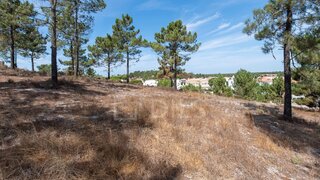 Land for sale in Grândola, Portugal — €820,000
