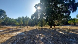 Land for sale in Santiago do Cacém, Portugal — €455,500