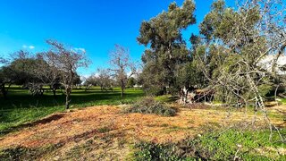 Land for sale in Albufeira, Portugal — €2,800,000