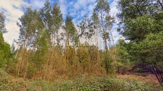 Land for sale in Maia, Portugal — €2,200,000