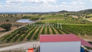 Land for sale in Alandroal, Portugal — €290,000