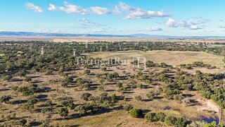 Land for sale in Benavente, Portugal — €1,500,000