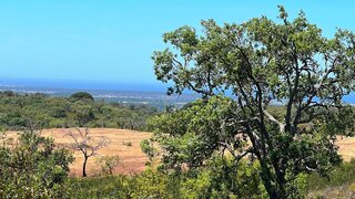 Land for sale in Grândola, Portugal — €2,800,000